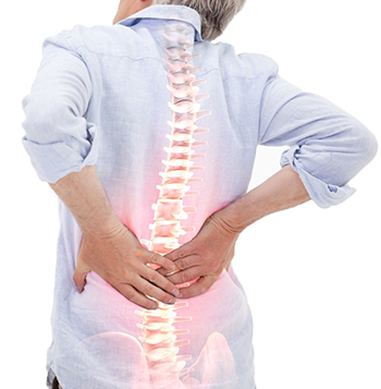 Person holding lower back showing inflammation in the lower spine
